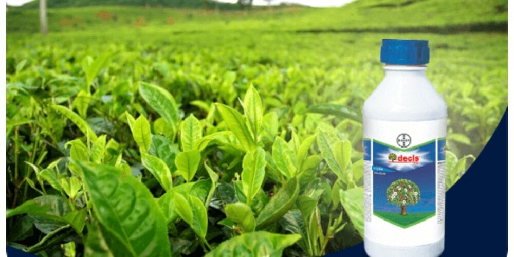 Bayer Decis® 100 Insecticide