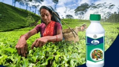 Bayer Decis® 2.8 Insecticide