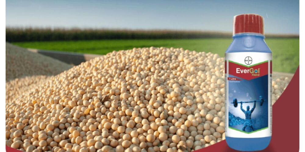 Bayer EverGol® Xtend