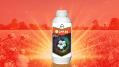 Bayer Ghasa Herbicide