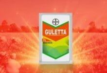 Bayer Guletta Herbicide