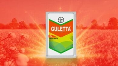 Bayer Guletta Herbicide