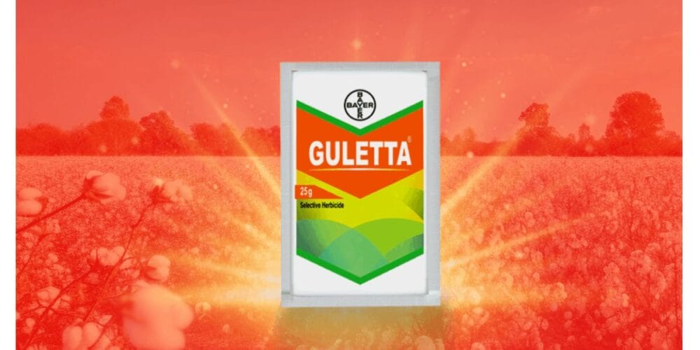 Bayer Guletta Herbicide