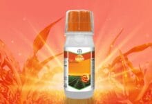 Bayer Laudis® Herbicide