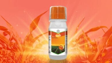 Bayer Laudis® Herbicide