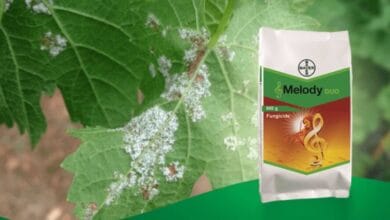 Bayer Melody Duo Fungicide