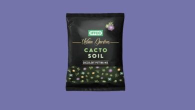 Iffco Cacto Soil