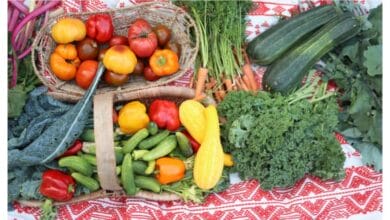10 Fast-Growing Herbs, Veggies, and Flowers for Summer