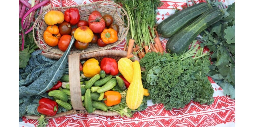 10 Fast-Growing Herbs, Veggies, and Flowers for Summer