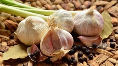 3 Easy Steps to Plant Garlic in Your Garden