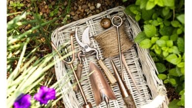 6 Essential Gardening Tools