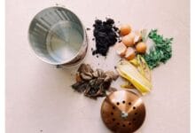 Basics of Composting at Home