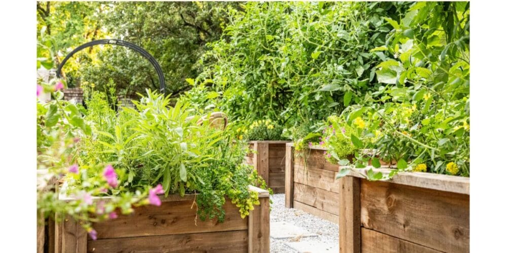 Organic Ways to Control Pests in the Garden