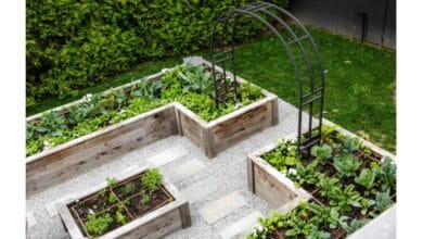 Garden Soil Mix for Raised Beds