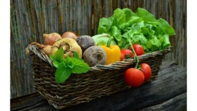 Harvest Basket Guide: Find Your Perfect Garden Trug
