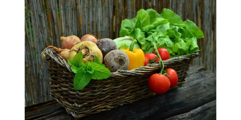 Harvest Basket Guide: Find Your Perfect Garden Trug