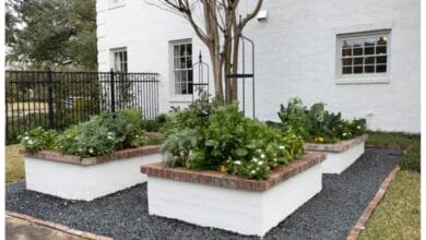 How Do You Keep Grass Out of the Kitchen Garden