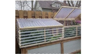 How to Make a DIY Cold Frame or Mini Greenhouse
