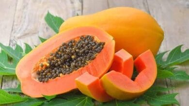 Health Benefits of Papaya