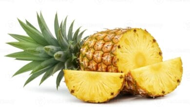 Pineapple Export Countries