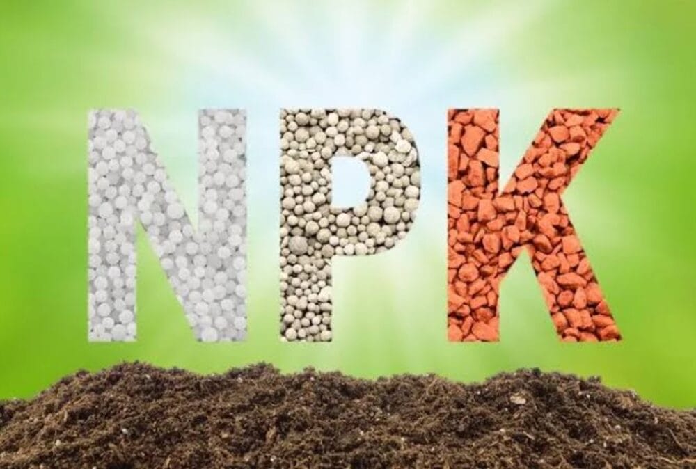 Organic NPK Fertilizers