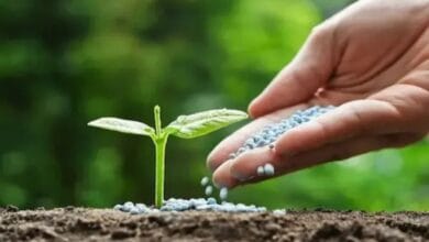 Biological Fertilizer