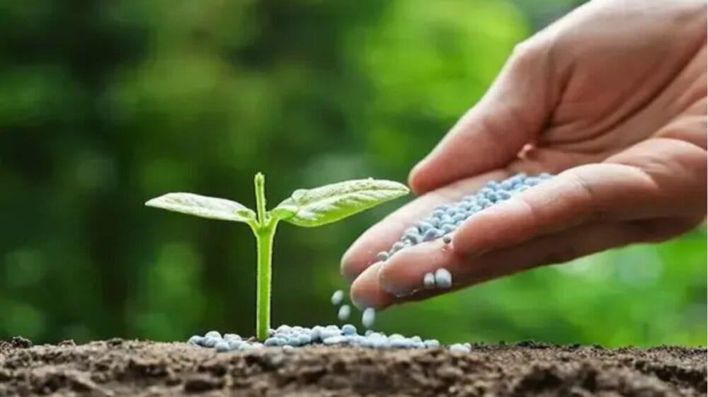 Biological Fertilizer