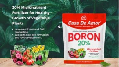 Boron Fertilisers