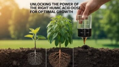 Humic Acid for Plants