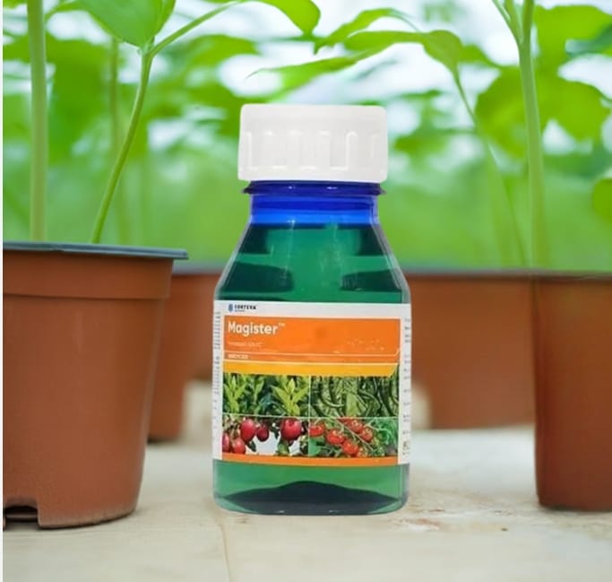 Magister Insecticide
