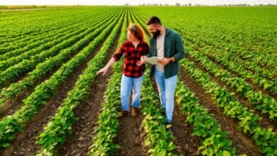 Farmer Business Ideas
