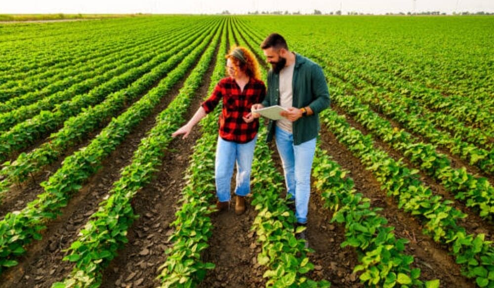 Farmer Business Ideas