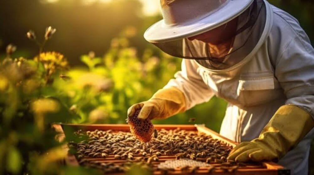 Beekeeping (Apiculture)