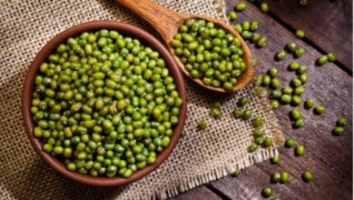 Mung Bean Cultivation