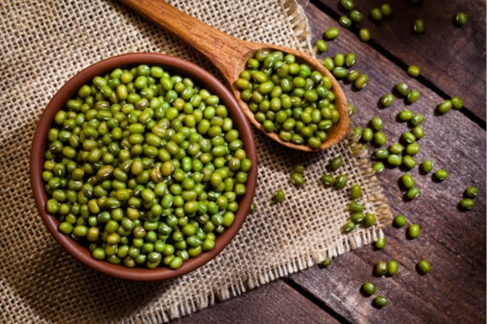 Mung Bean Cultivation