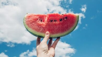 Watermelon Plants