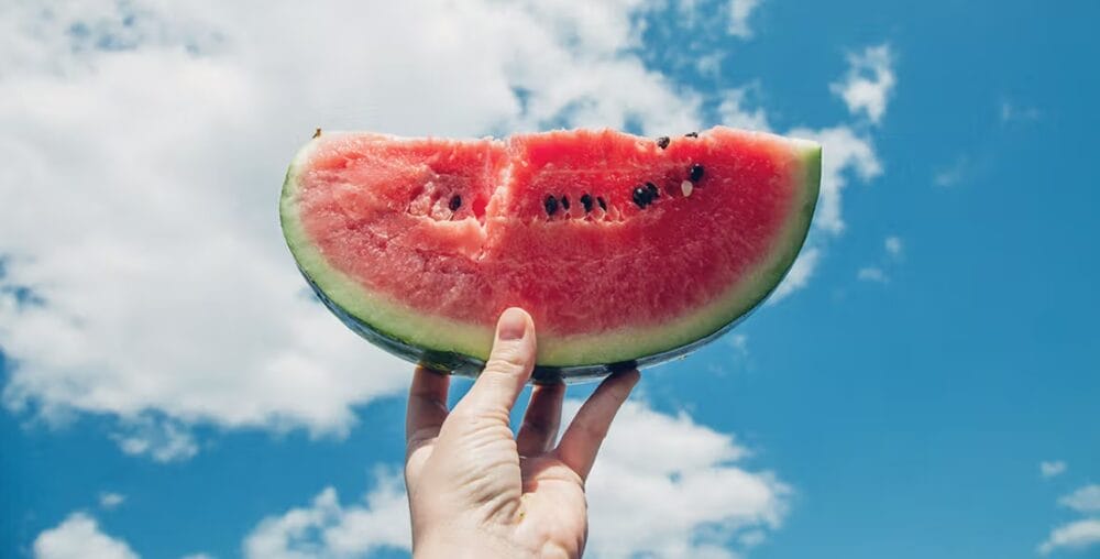 Watermelon Plants