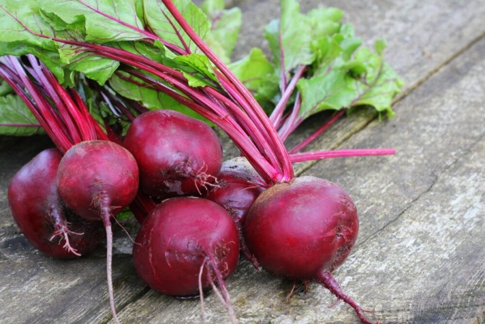 Beetroot Cultivation
