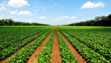 Agriculture Problems in India