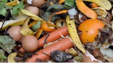 How to Make Liquid Fertilizer from Kitchen Waste