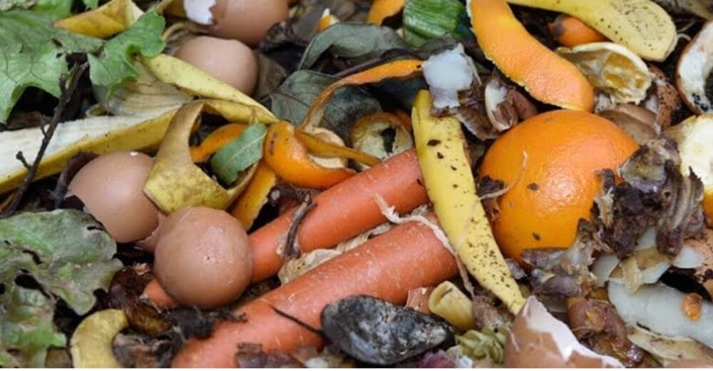 How to Make Liquid Fertilizer from Kitchen Waste