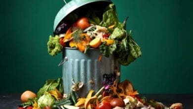 Compost Fertilizer from Kitchen Waste