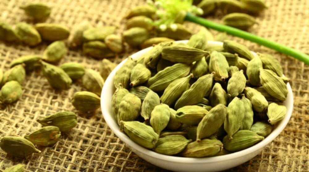 Elaichi (Cardamom) Cultivation