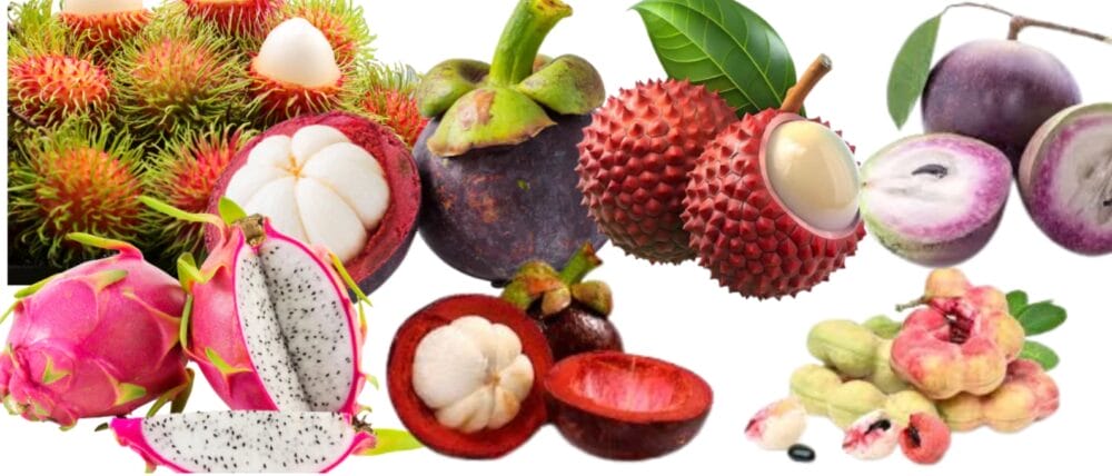 Expensive Fruits in India