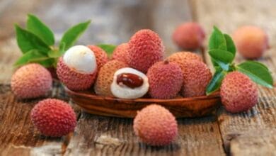 Litchi Cultivation