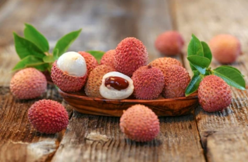 Litchi Cultivation