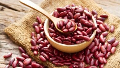 Kidney Bean Cultivation