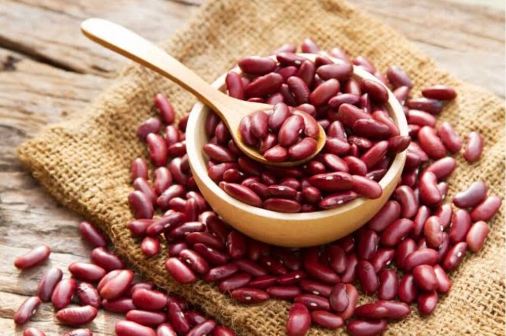 Kidney Bean Cultivation