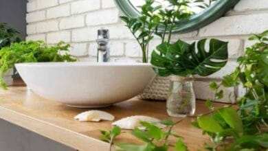 Indoor Plants for Bathroom