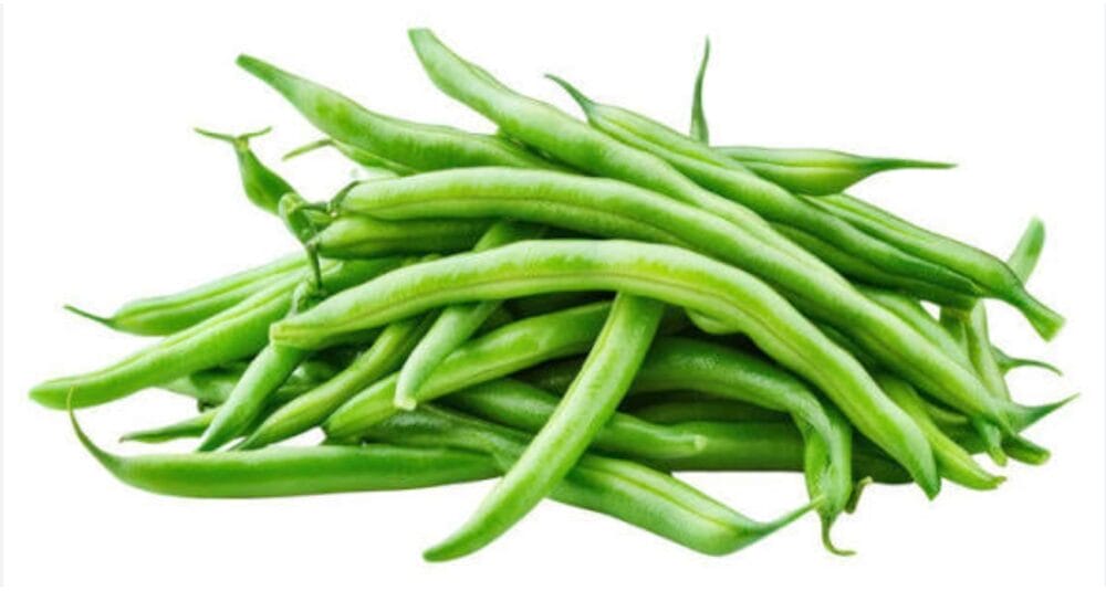 String Beans Cultivation